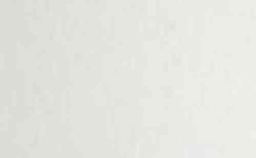 WOODSTOCK BIANCO 70x100gr.225