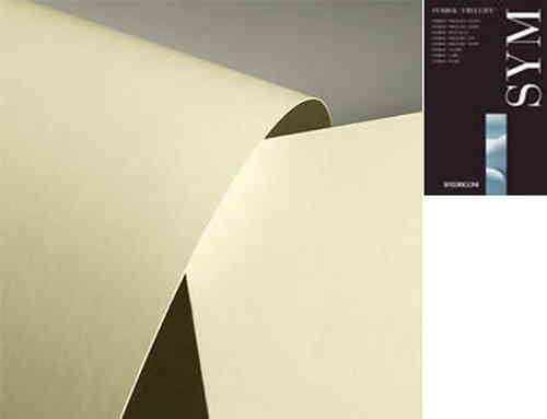 PATINATA SYMBOL TATAMI IVORY 70x100 gr.200 (Patinata avorio)