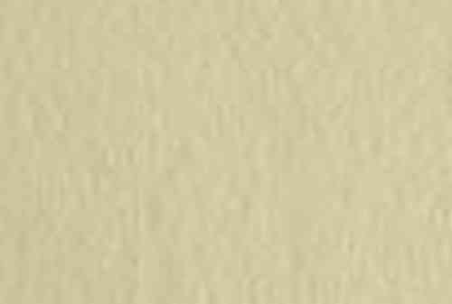 SIRIO COLOR PAGLIERINO 70x100 gr. 170