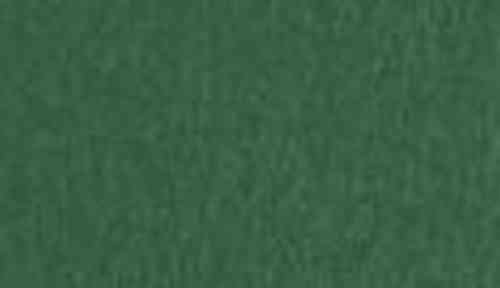 SIRIO COLOR FOGLIA 70x100 gr. 170