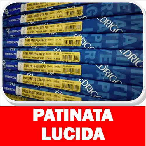 PATINATA SYMBOL FREELIFE GLOSS P.W. 70x100 gr.170