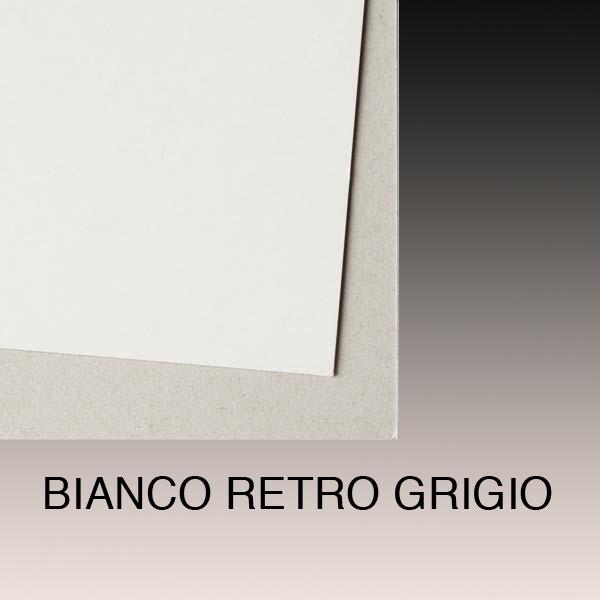 CARTONE GD2 BIANCO/BIANCO 71x101 gr.350